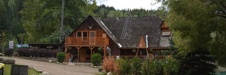 KinbasketResort's profile banner image