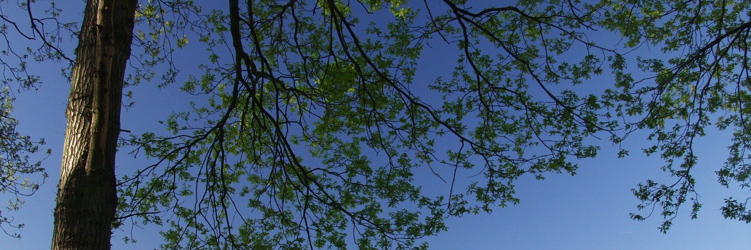 robinclapp's profile banner image