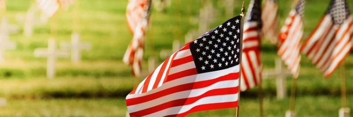 Melodie Willis Golde 🇺🇸🇮🇱 banner