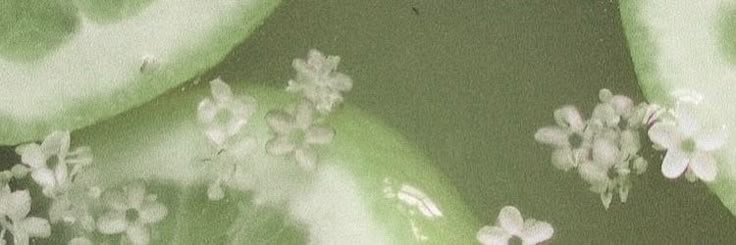 cokecaain's profile banner image
