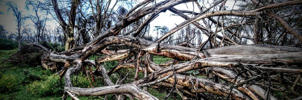 chetbox Profile Banner