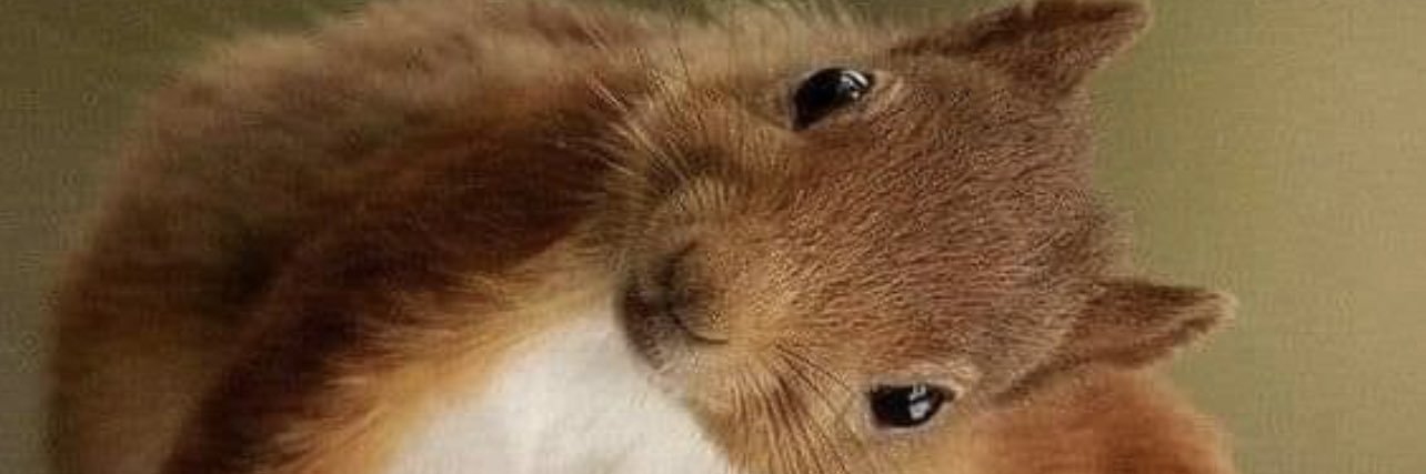 PauperPoor's profile banner image