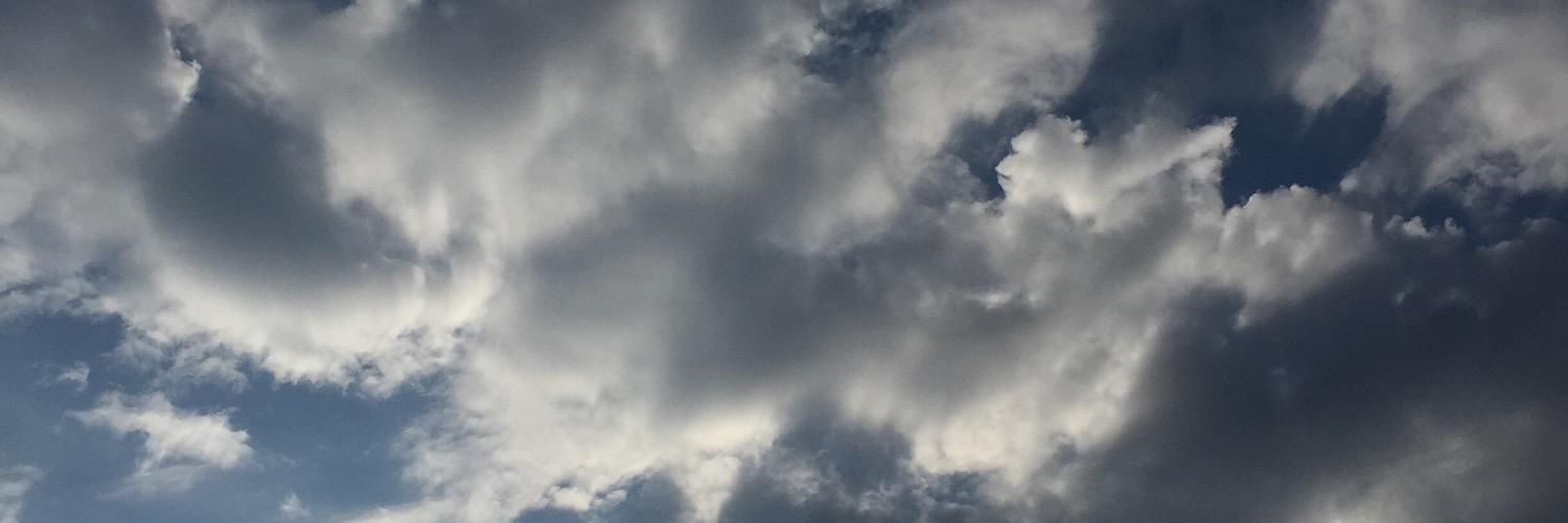 Shani Ritchey Muhammad banner