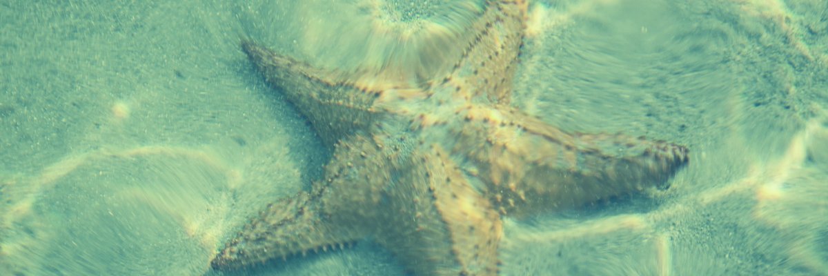 Lisa_Young_'s profile banner image