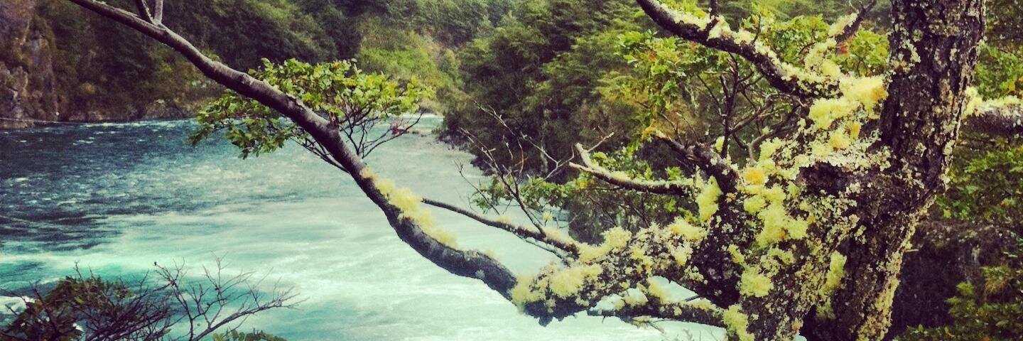 miguel michelson banner