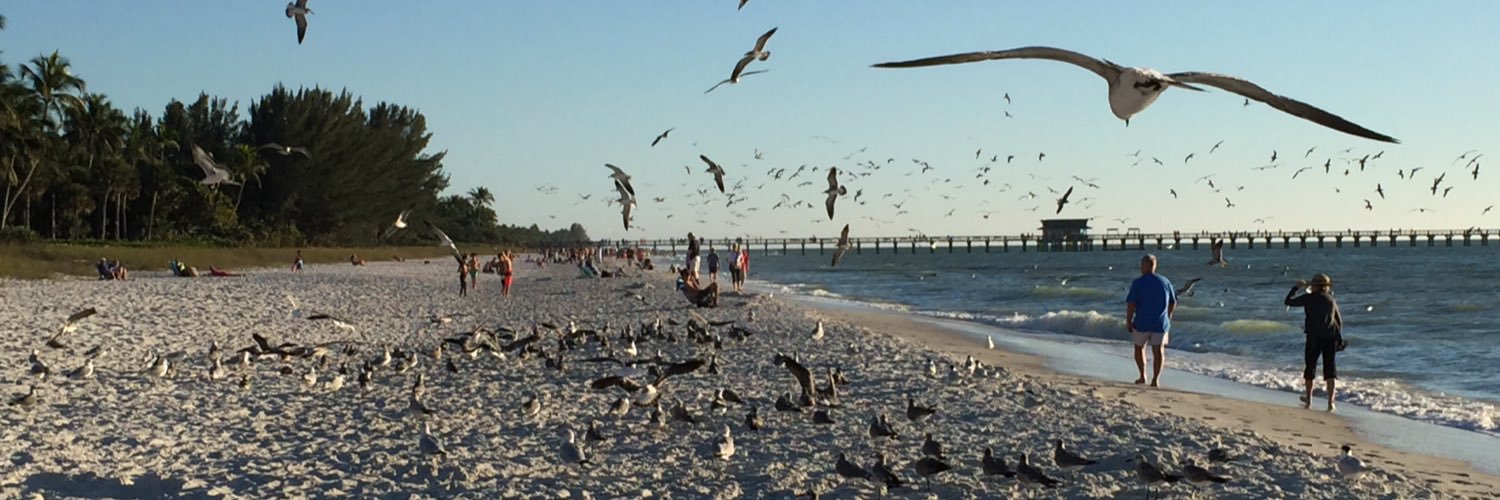 atriver🟧 banner