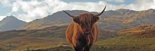 HighlandQ2's profile banner image
