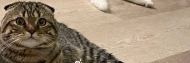 🍃~ภาคณัฐรินทร์ ๒๕๖๘~🕊 banner