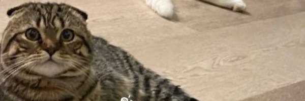 HCORIO Profile Banner
