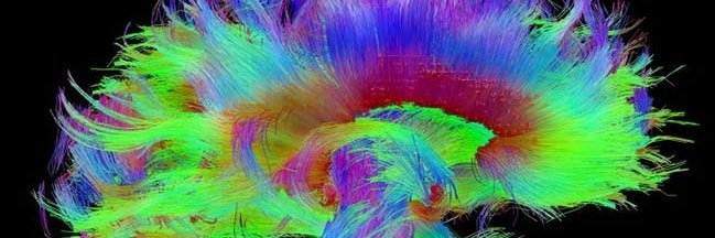 Daniel Hilburn banner