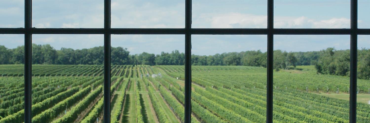 A_Vintners_Tale's profile banner image