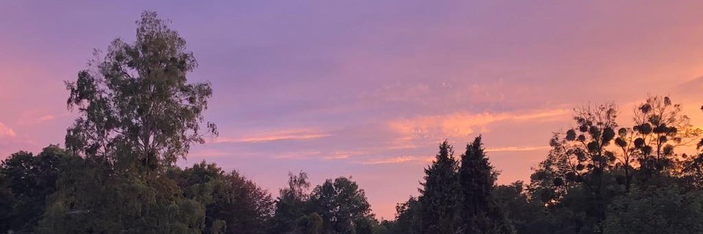 NeleMilda's profile banner image