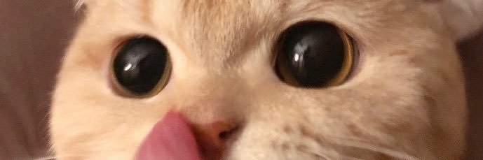 shutaaa_429's profile banner image
