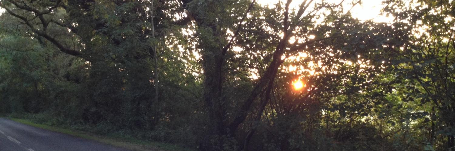 SkullyBen's profile banner image
