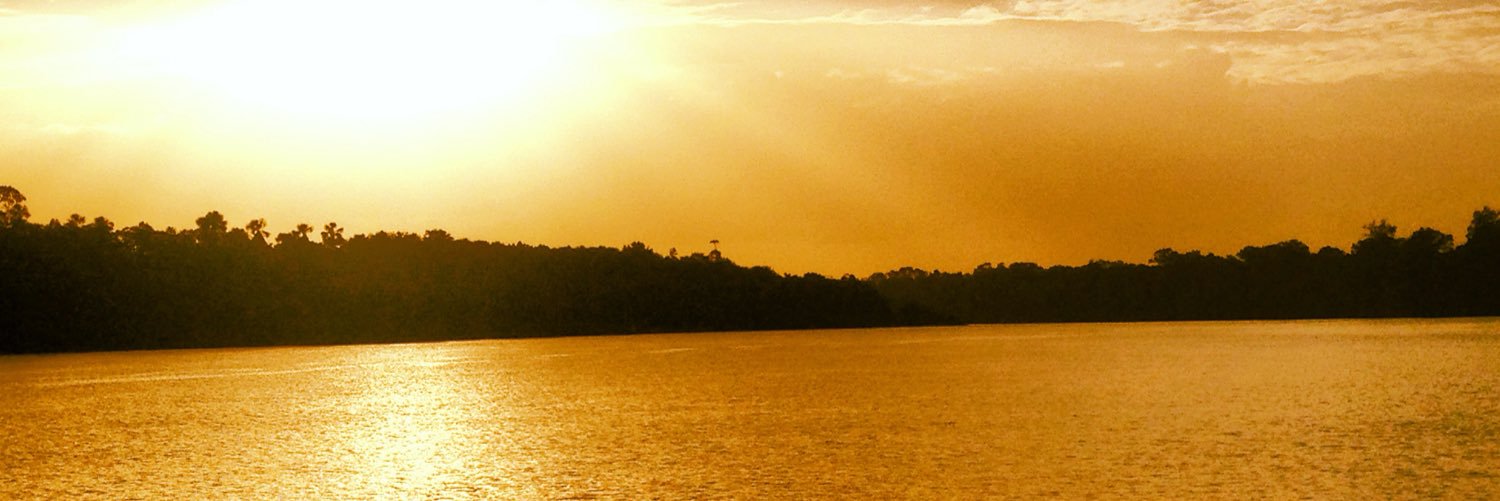 RicardoRamada's profile banner image