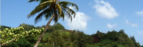 Deb3326 Profile Banner