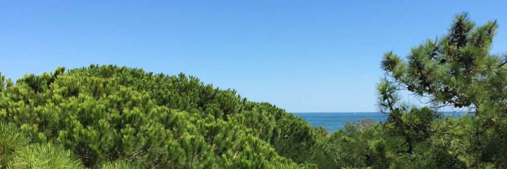 JulieGiraldi's profile banner image