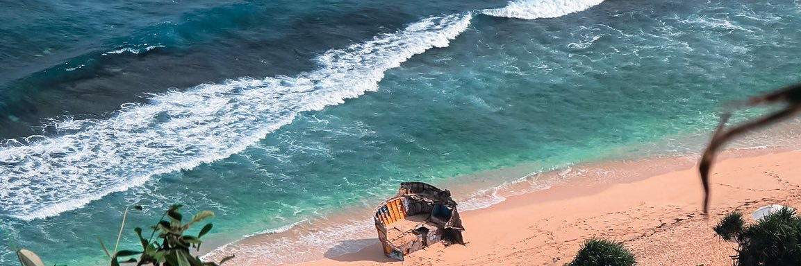 daisy 🌼🌼 💙💙 banner