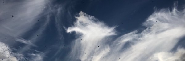 proftroublemakr Profile Banner