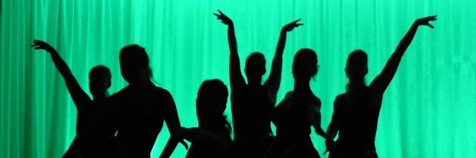 Hannaharpa's profile banner image