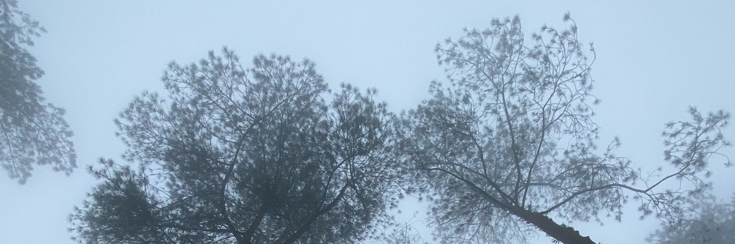 bagindo__'s profile banner image