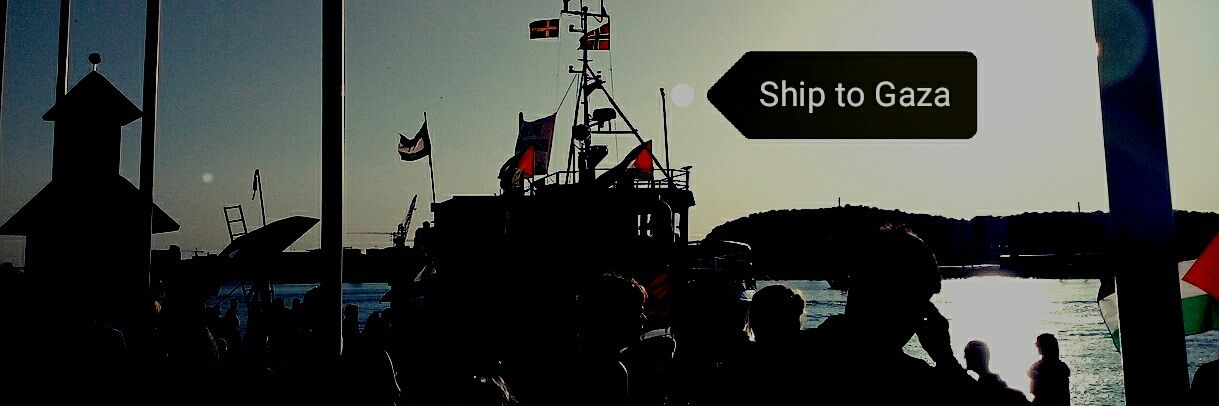 Parisa Nasr 🔻🇮🇷🌿🇵🇸✌🏻🇾🇪🔻's banner