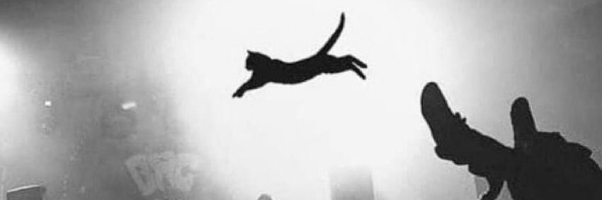 mally banner