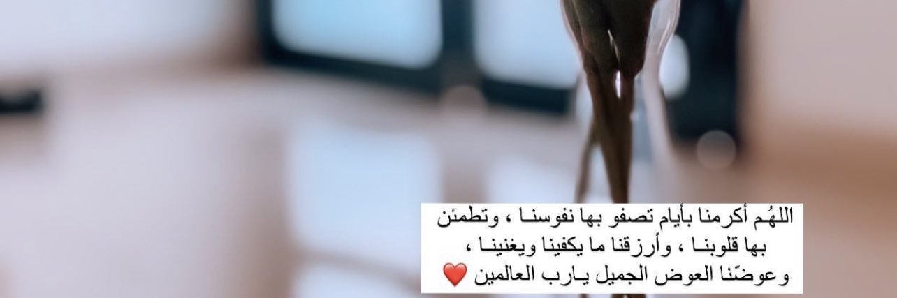AbeerHadeel's profile banner image