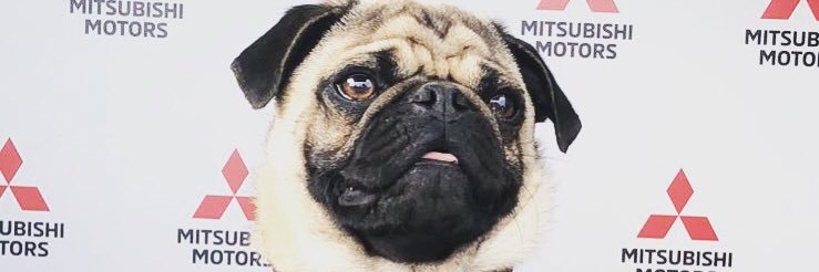 OfficialLJR's profile banner image