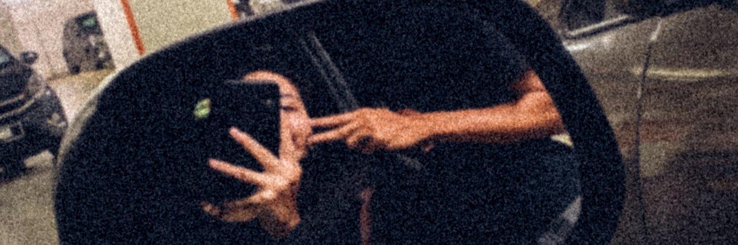 anszham's profile banner image