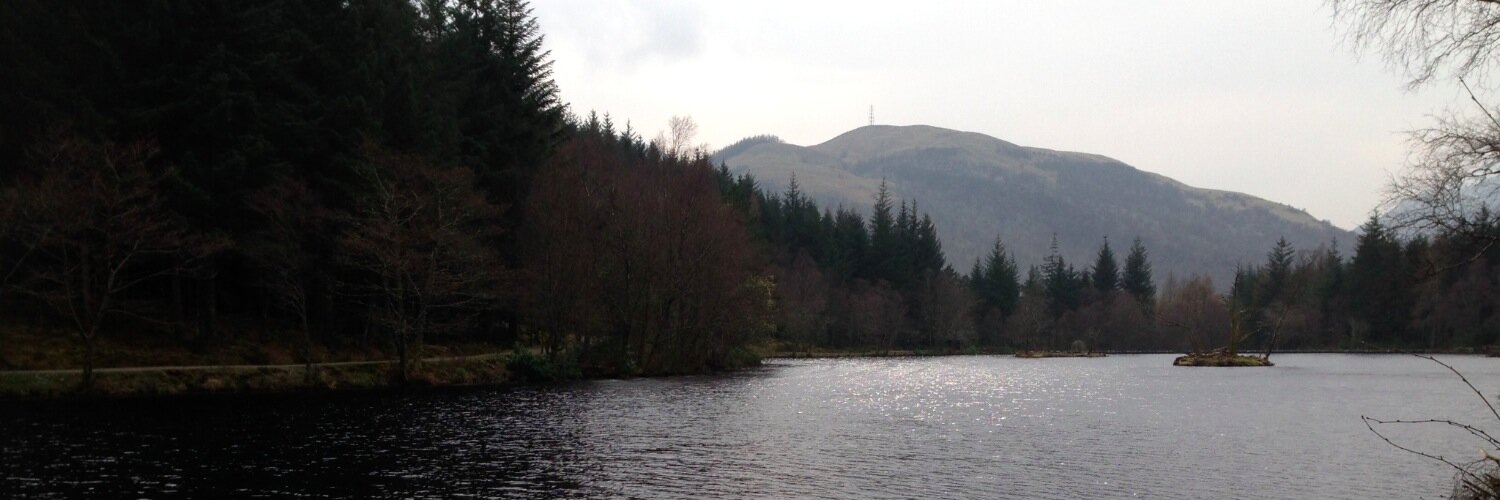 NewScottishMusi's profile banner image