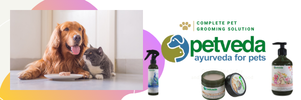 Petveda's profile banner image