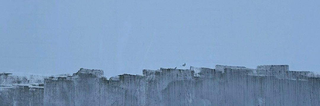 susumu ishii banner