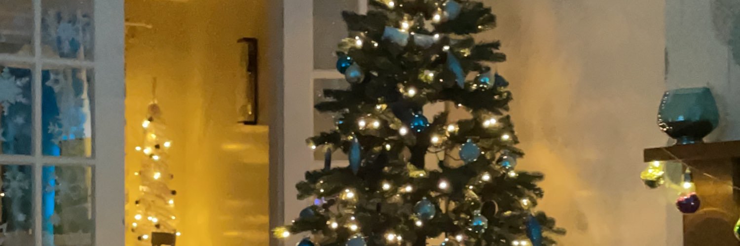 wazbish's profile banner image