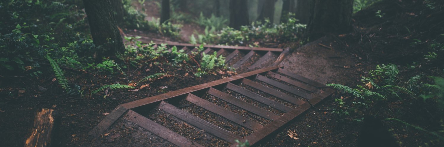 夜映🌱我要財富自由 banner