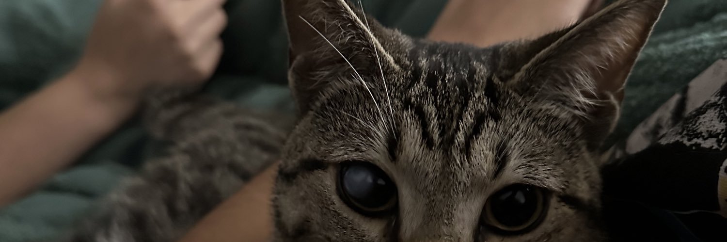 jchflink's profile banner image