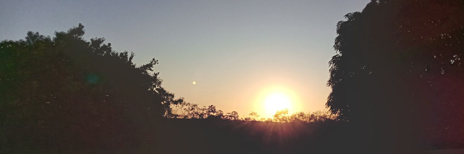 velholavo's profile banner image