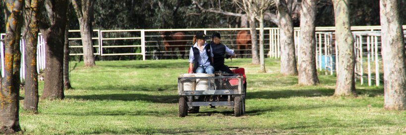 Yirribee Pacing Stud banner