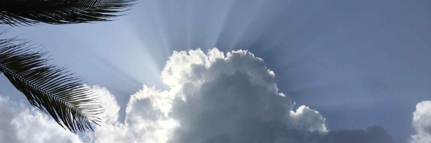 Darlene1385's profile banner image