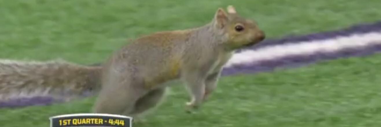 Christopher K Grap banner