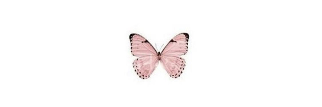 nicoleann55's profile banner image
