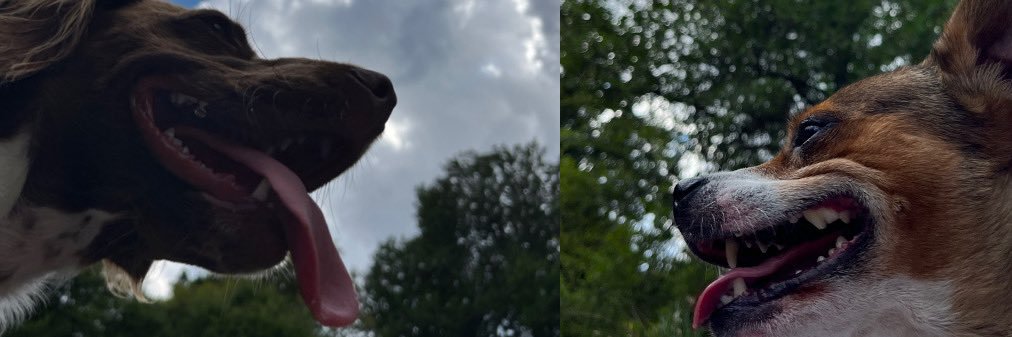 beea_alvarez's profile banner image