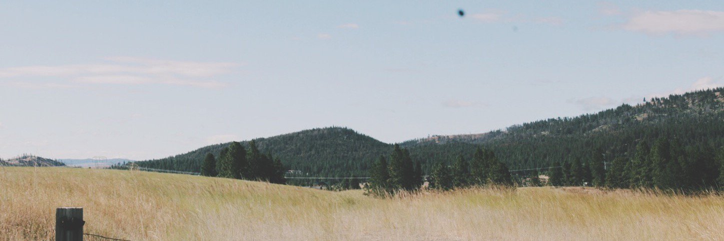 theMarch19's profile banner image