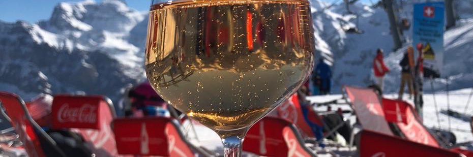 Jessica Stephens banner