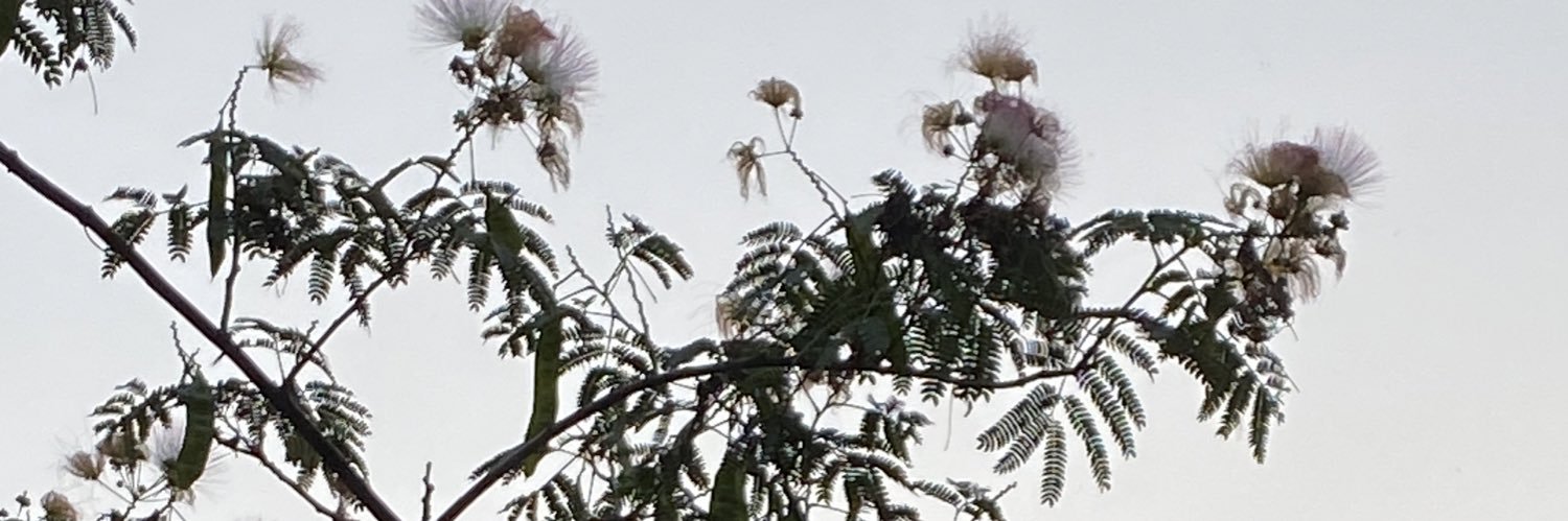 Greer Hamilton, Ph.D. banner