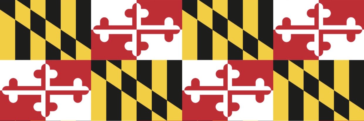CapeCodDuke's profile banner image