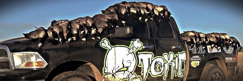 toxiccalls's profile banner image