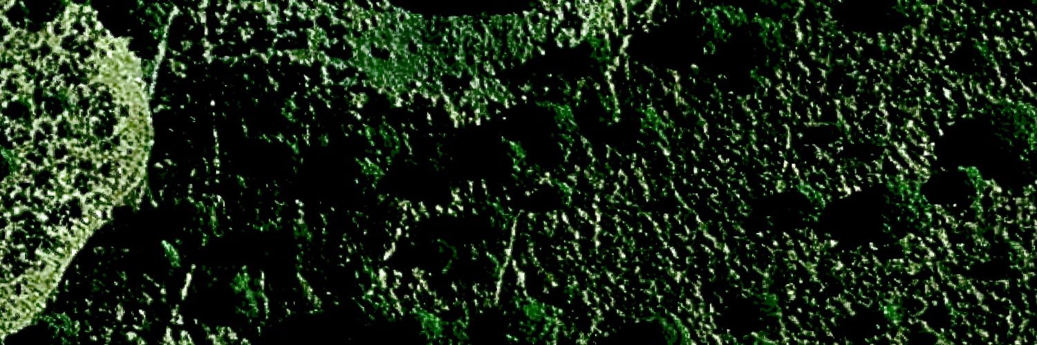 jaxencoe's profile banner image