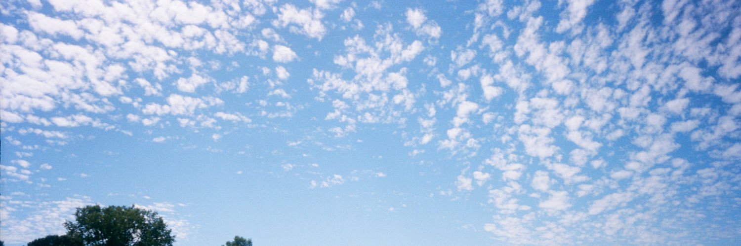 maryamccartney's profile banner image
