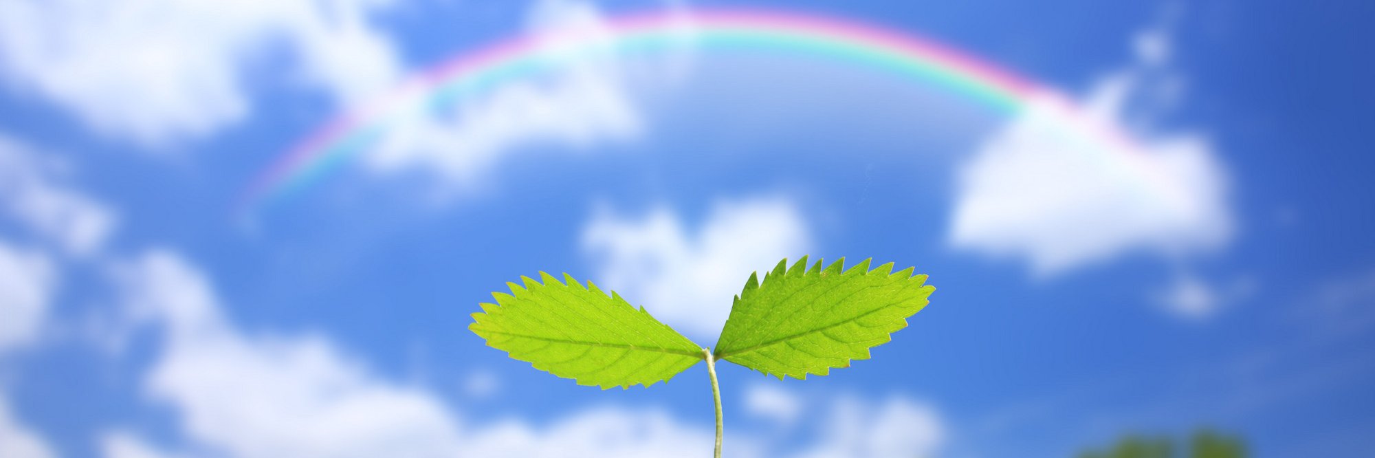 nanairohiroba's profile banner image